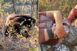  Two hunters who shot 530-pound grizzly 24 times share their stunning story of survival 