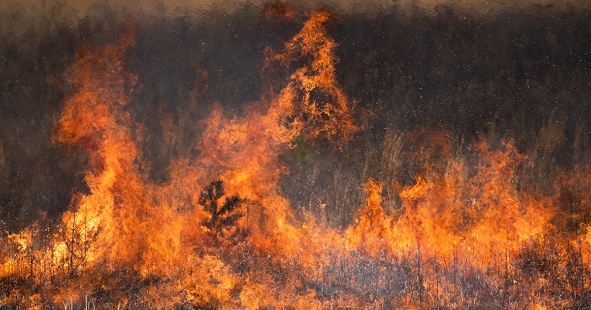  Nuevos incendios provocan evacuaciones en Mt. Bachelor 
y la zona sur del condado de Deschutes | The Source Weekly - Bend, Oregon 