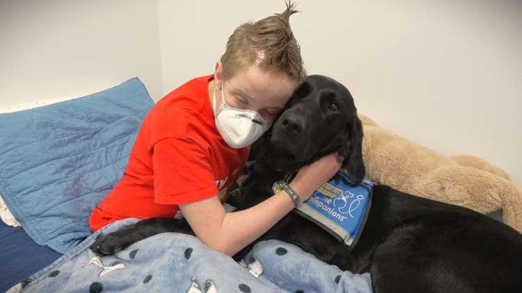  This Seattle training center is helping animals help humans 