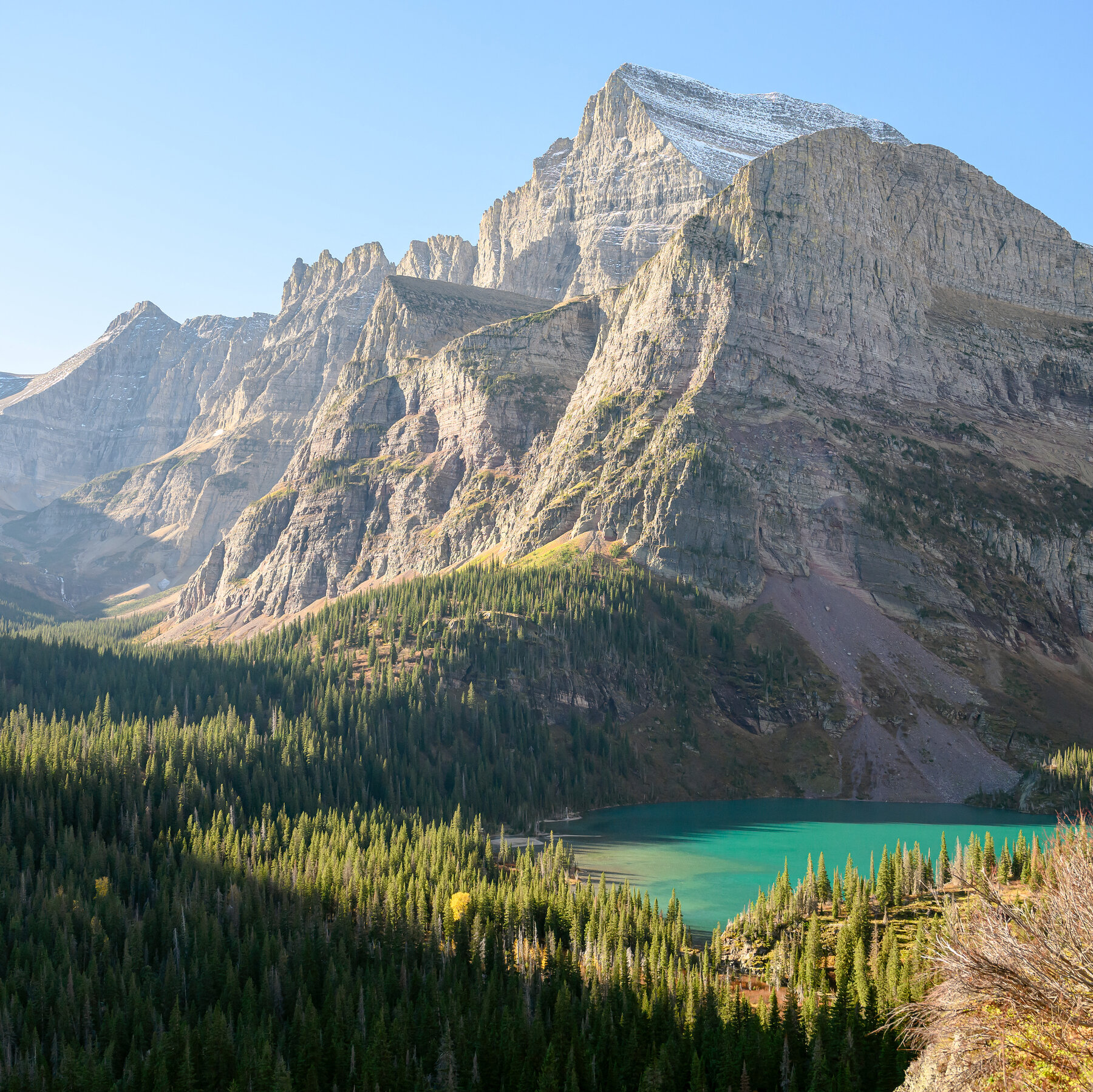  Hiker Is Injured in Bear Attack at Glacier National Park 