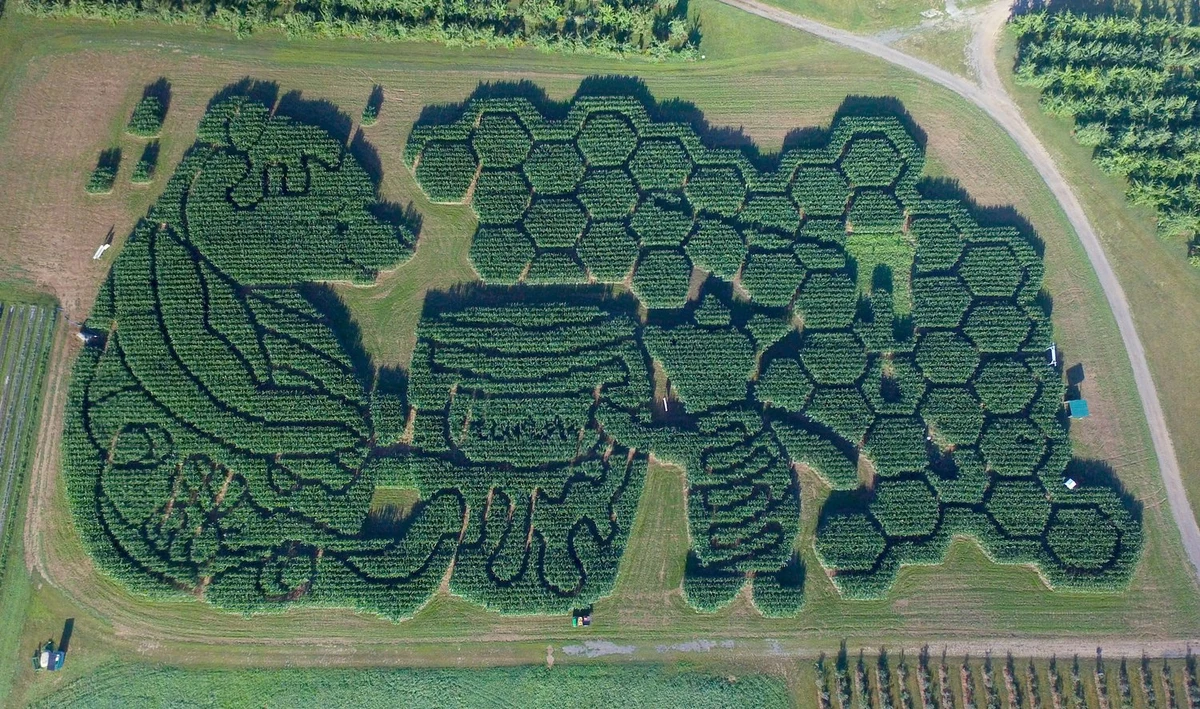  The Best Corn Maze in the Country is Right Here in Maine 
