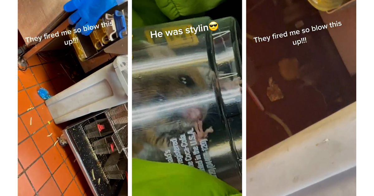  TikTok Videos Appear To Show Rat Inside a McDonald's 