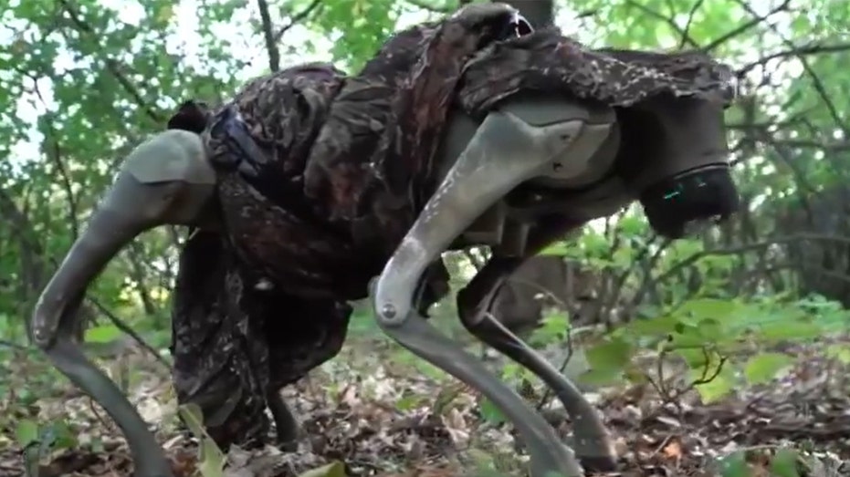  Ukraine shows off capabilities of new drone-dropped, flamethrowing robotic war dogs: video 