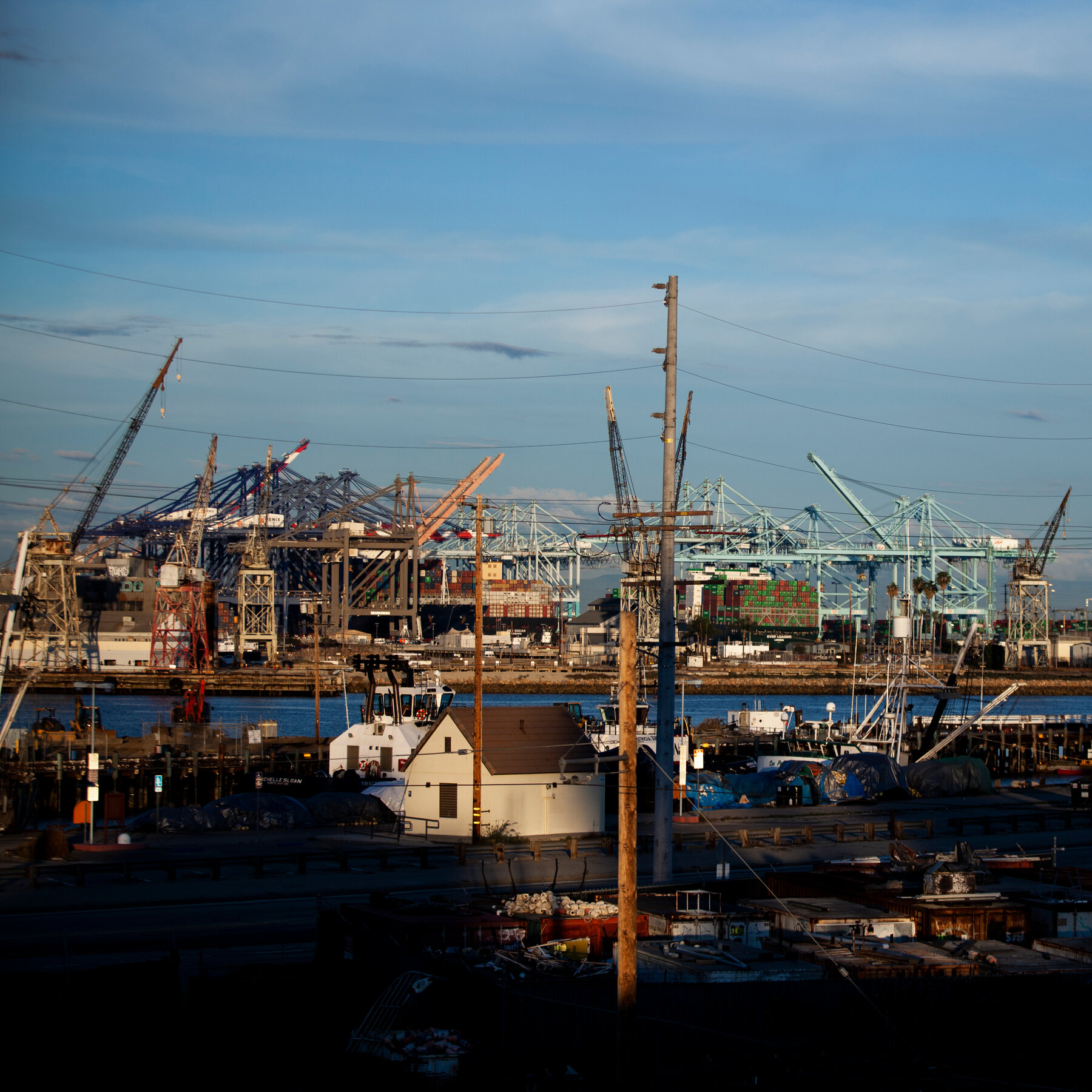  Port of Los Angeles Closes Terminals After Lithium Battery Fire 