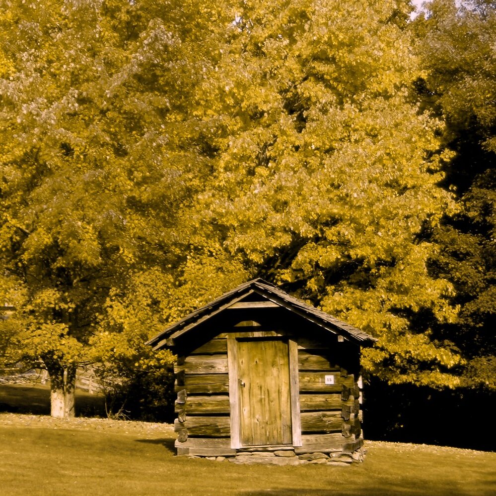  Viewfinders Make Fall Foliage Pop for the Colorblind in Virginia 