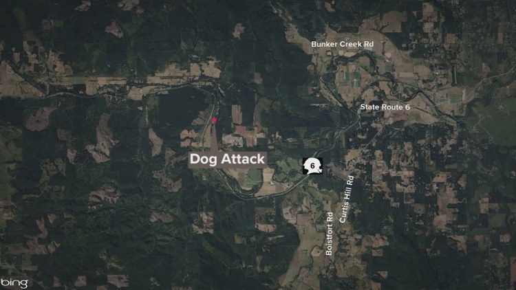  91-year-old woman killed after being attacked by her own dogs in Chehalis 