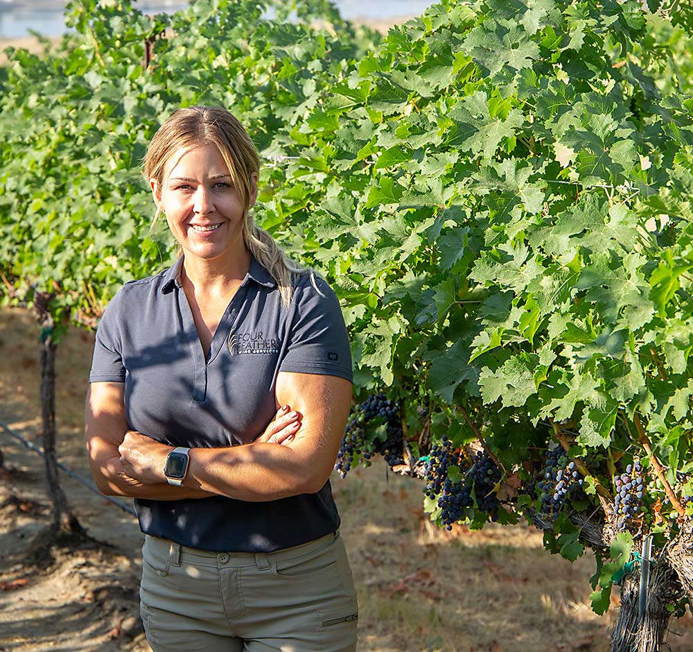  Custom vineyard management row by row 