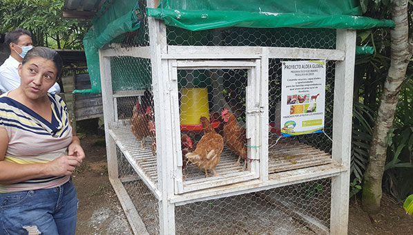  GFI manager visits chicken project in Honduras – News 