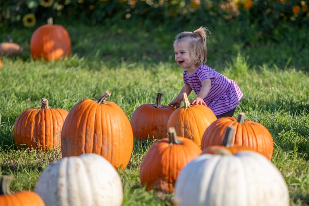  A slice of local harvest festivals around Salem 