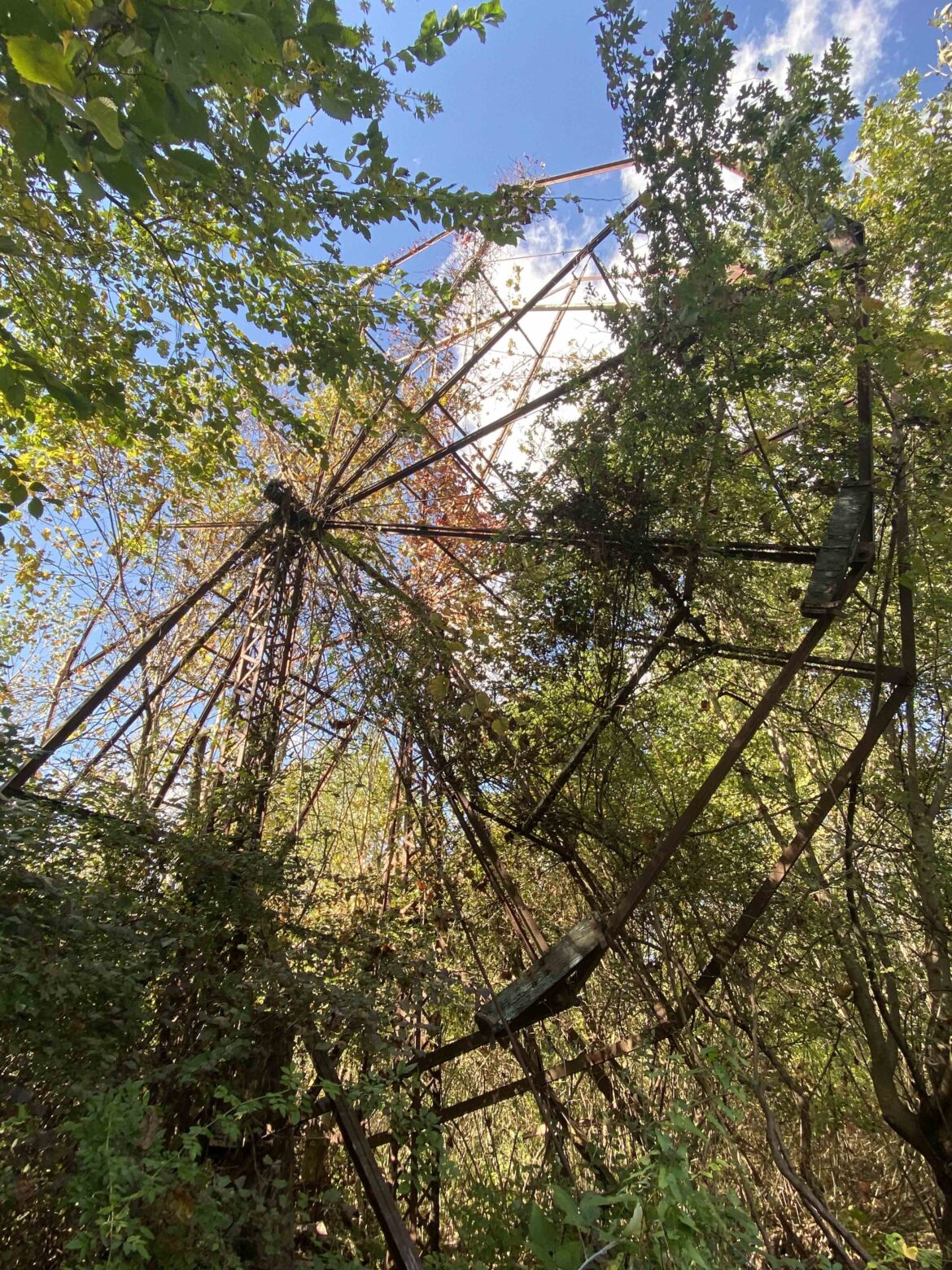  Old Ohio amusement park becomes new wetland restoration project 