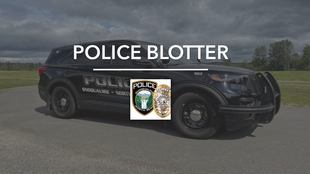  Police Blotter | Domestic Violence Harassment; Hit-and-Run; Suspicious Activity - Living Snoqualmie 