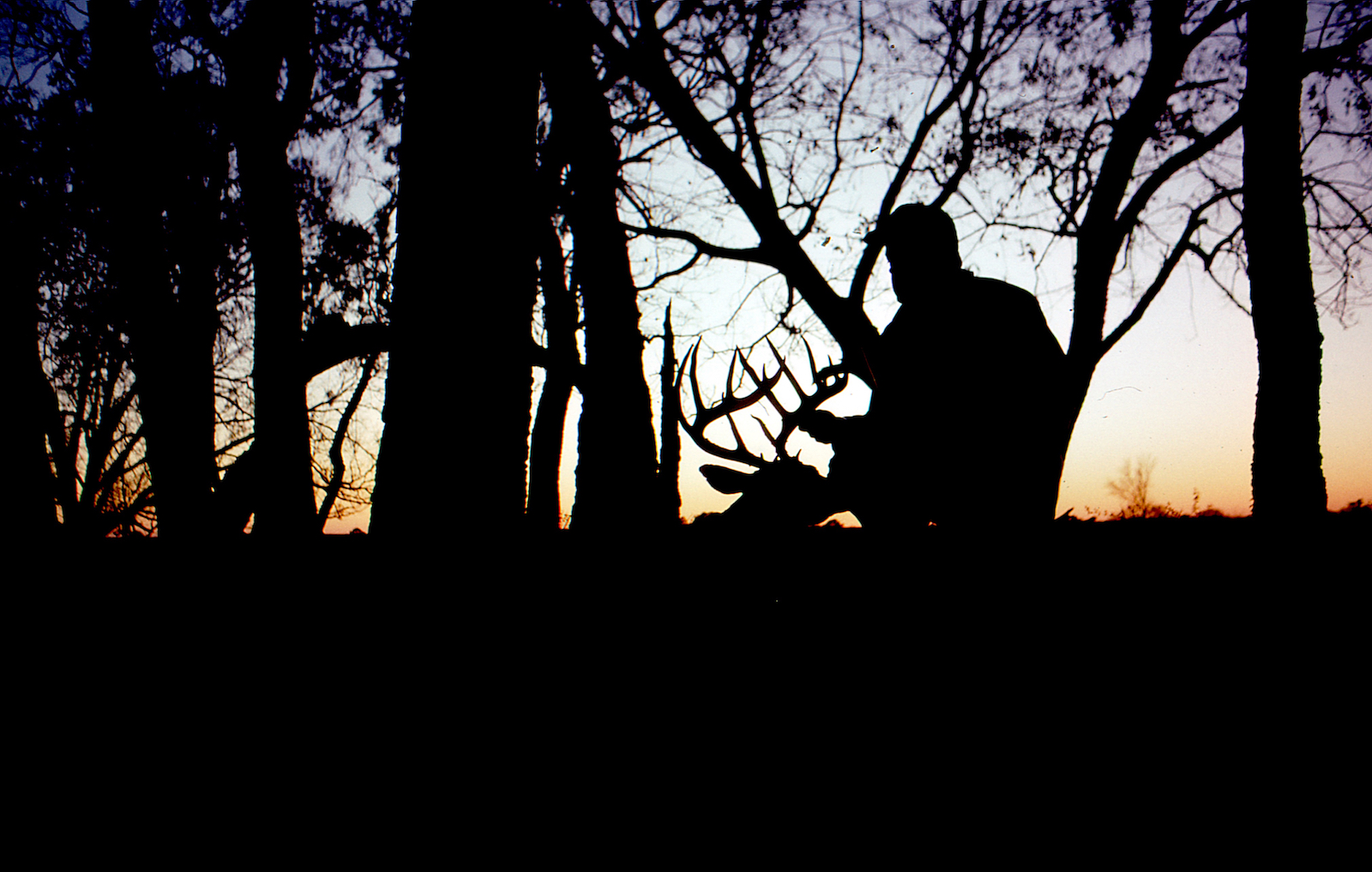  Whitetail preview: Texas deer hunters gearing up for new season 