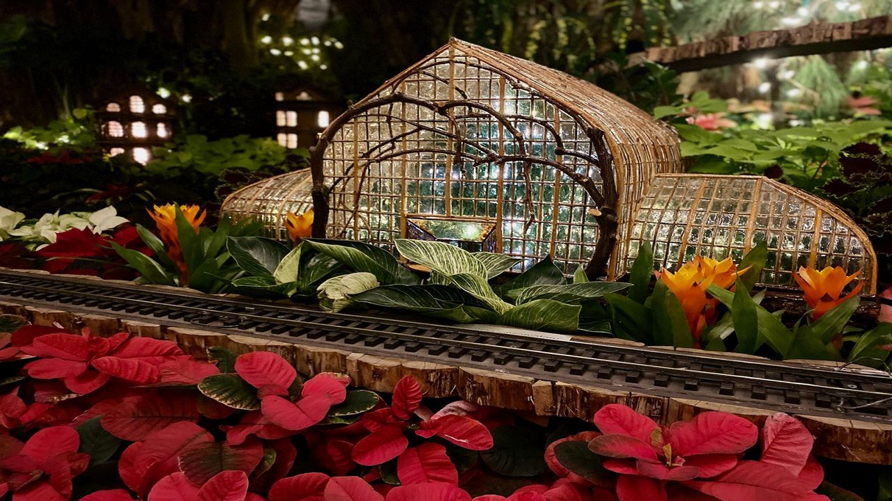   
																Trains and Traditions: Krohn Conservatory comes to life for holiday season 
															 