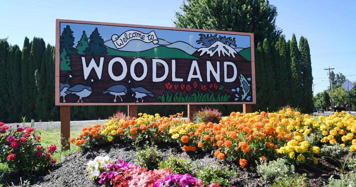  Woodland investigates former city employees over alleged utility account breach 