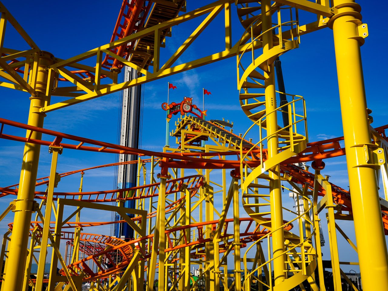  Photos: Progress made on ‘Wild’ new Cedar Point ride 
