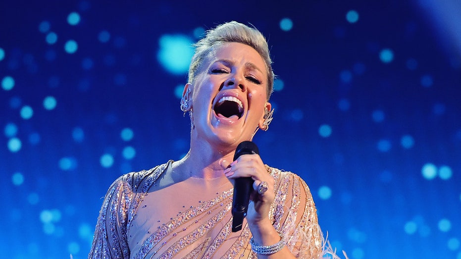  Singer Pink postpones slate of concerts due to reasons beyond her control 