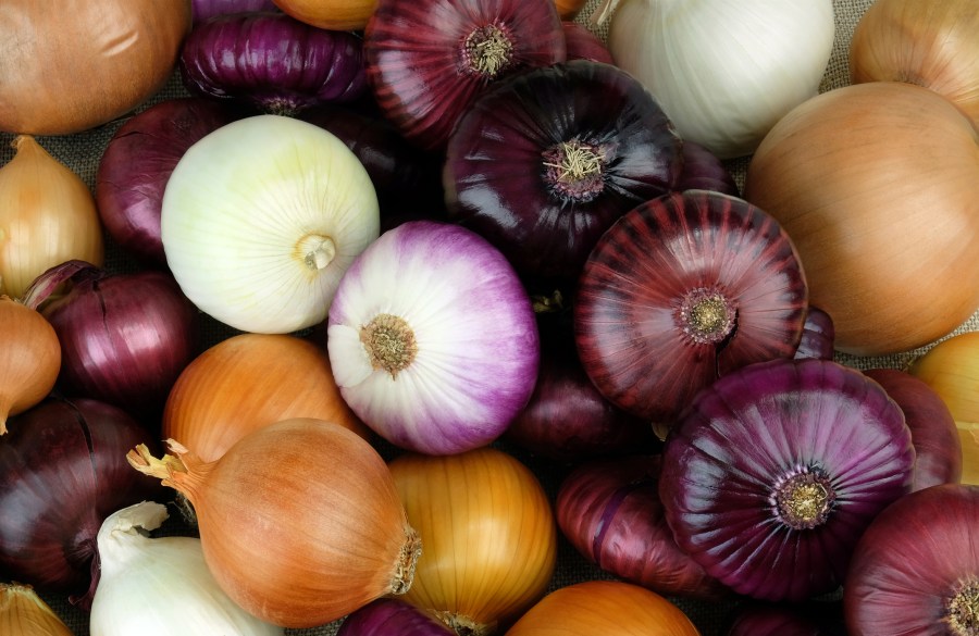  E. Coli outbreak prompts onion precaution at restaurants 