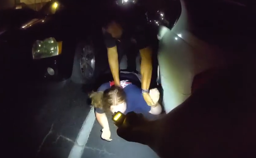  Video shows man attempting to choke Sanford police officer during domestic violence arrest 