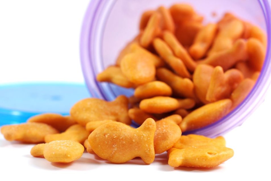  Pepperidge plant to restart Goldfish production 