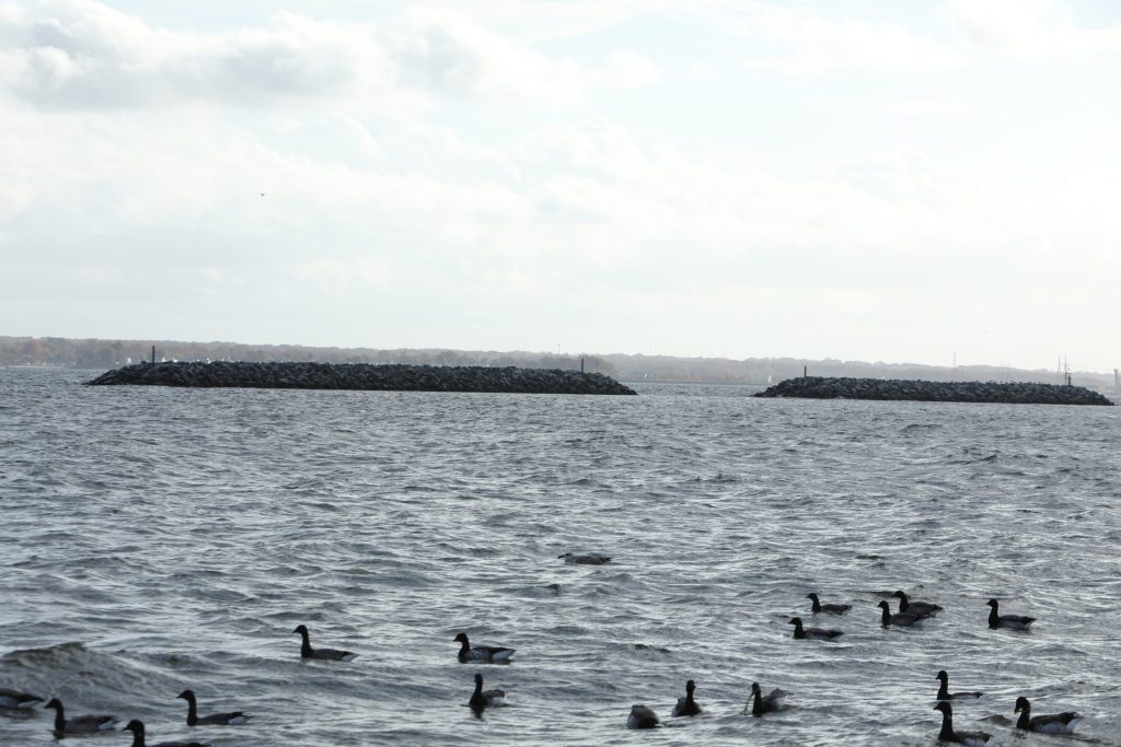  Staten Island ‘Breakwaters’ Stand as Monument to Sandy and Speed Bump for Future Storms 