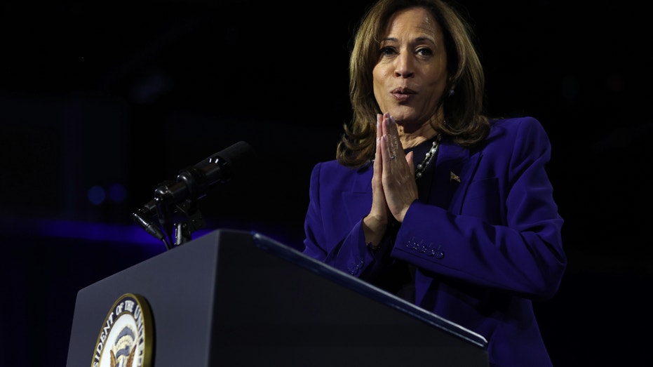  Harris ripped for 'word salad' after heckler interruption during campaign speech: 'The gibberish never ends' 