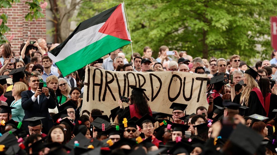  Harvard, Northwestern failed Jewish students during college campus protests: House report 