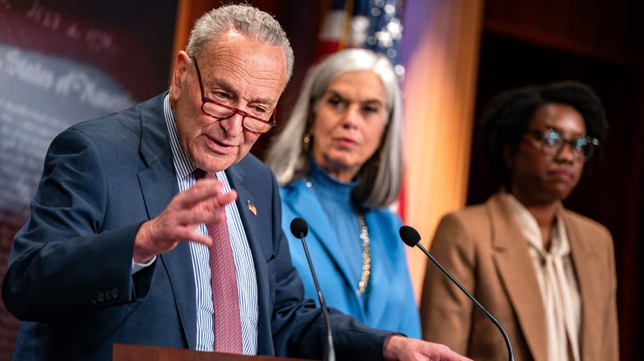  Opponents of antisemitism on campus frustrated by Schumer's failure to move on legislation: 'Stunning' 