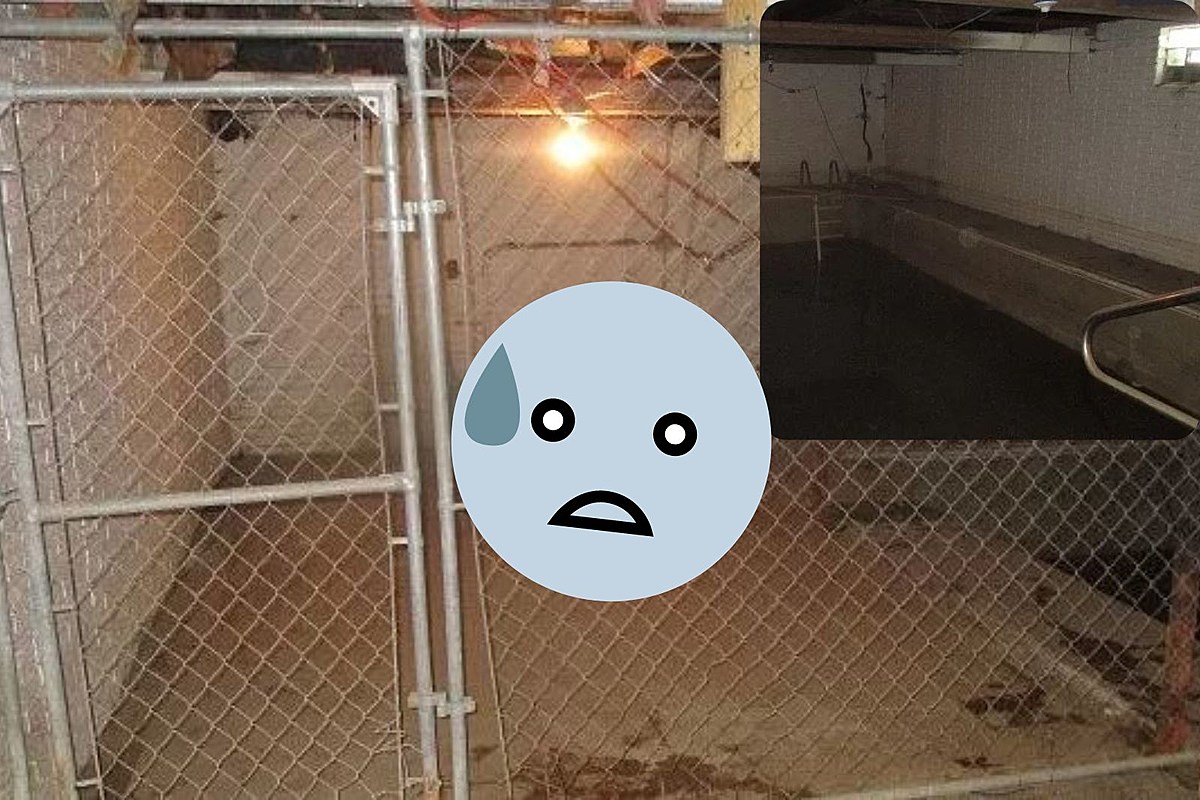  
																A Basement Pool in a Cage? No Wonder this Ohio Home is so Cheap 
															 
