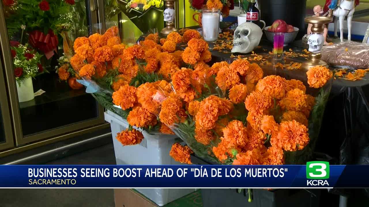  Want to celebrate Día de Muertos this weekend?  Here's who is hosting events  