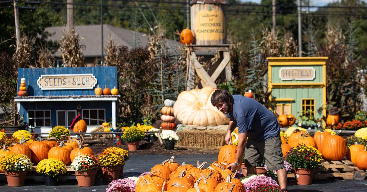  Hatcher’s Greenhouse introduces ‘Pumpkinville’ for fall 