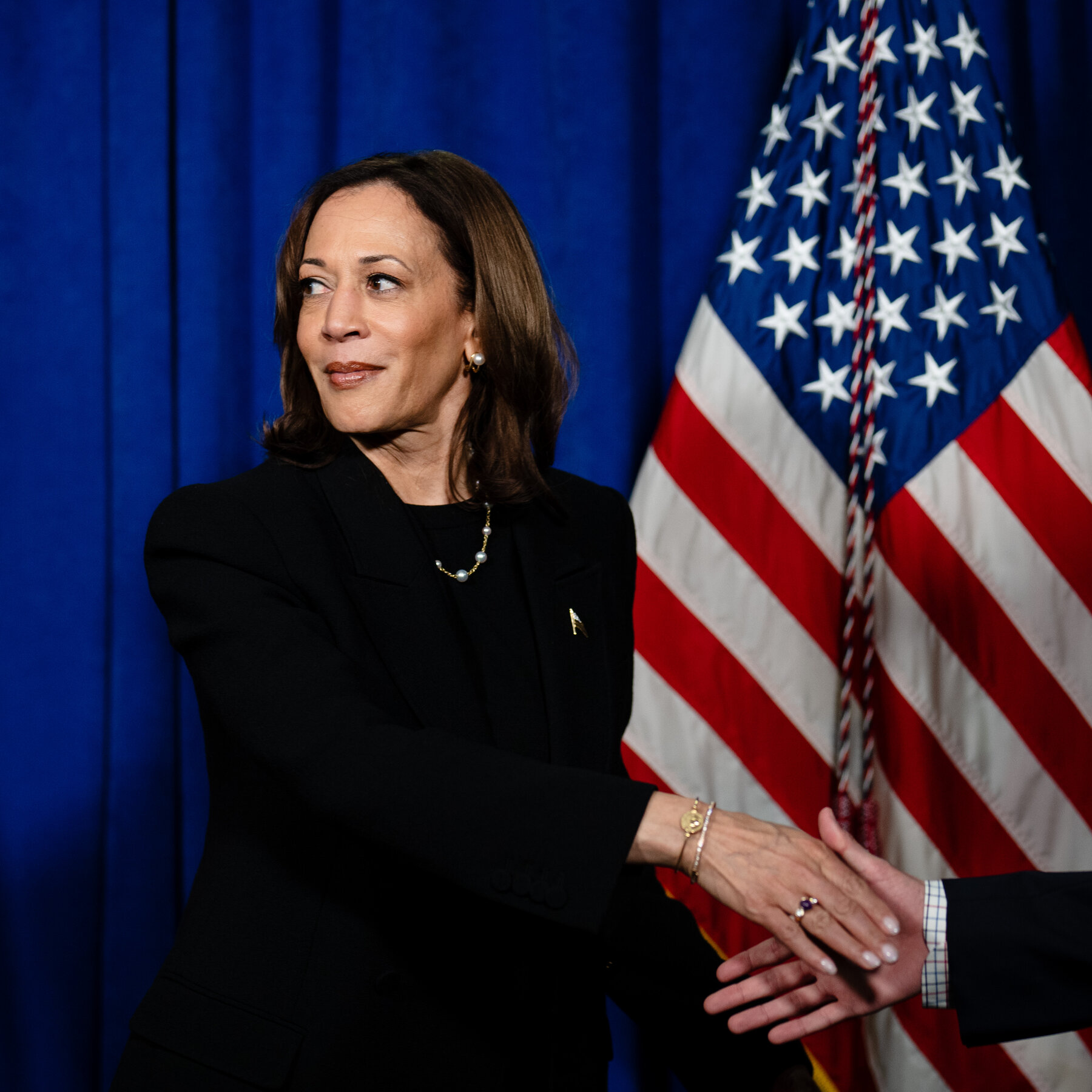  What’s Next for Kamala Harris? Here Are Six Options. 