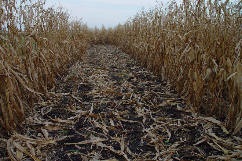  Corn stover could be key to a more climate-friendly fuel in Indiana 