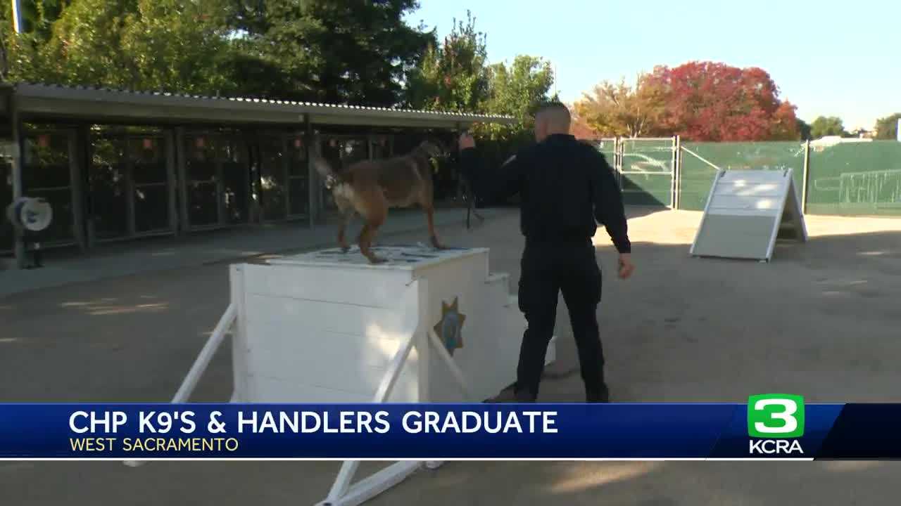  Six K9s and handlers graduate from West Sacramento CHP academy 