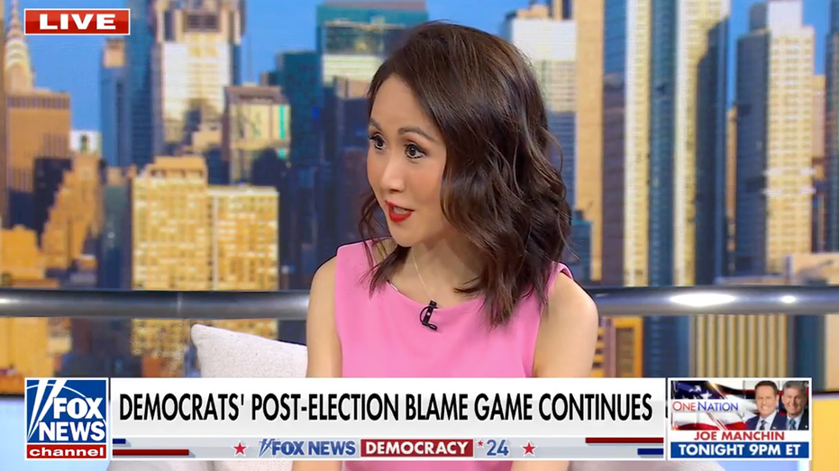  Harris surrogate gives firsthand account of the ‘epic disaster’ of election night loss to Trump 