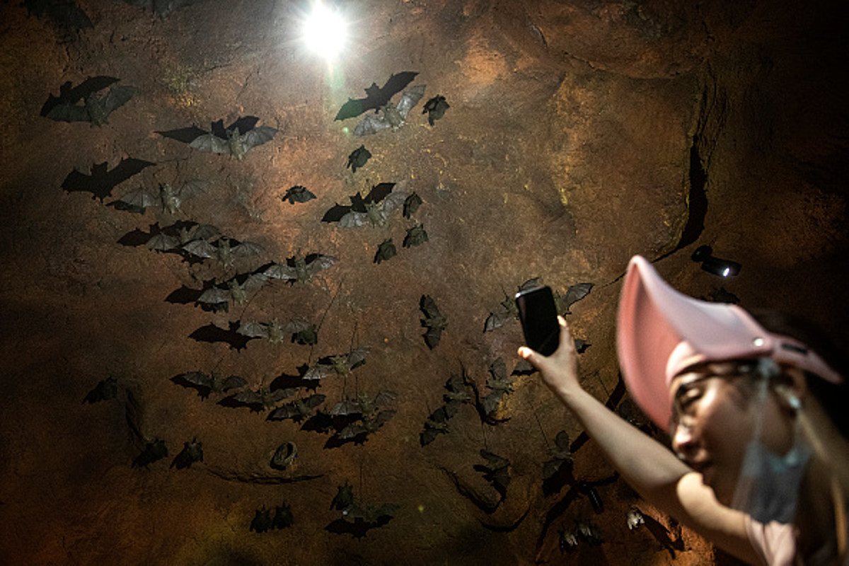   
																The Lewisburg Haunted Cave in Ohio's Home to 30,000 Live Bats 
															 