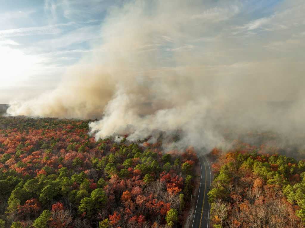  Man charged with arson in connection to New Jersey wildfire sparked by shotgun round, officials say 