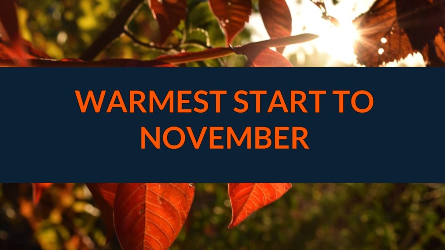  Warmest start to November in nearly a decade 