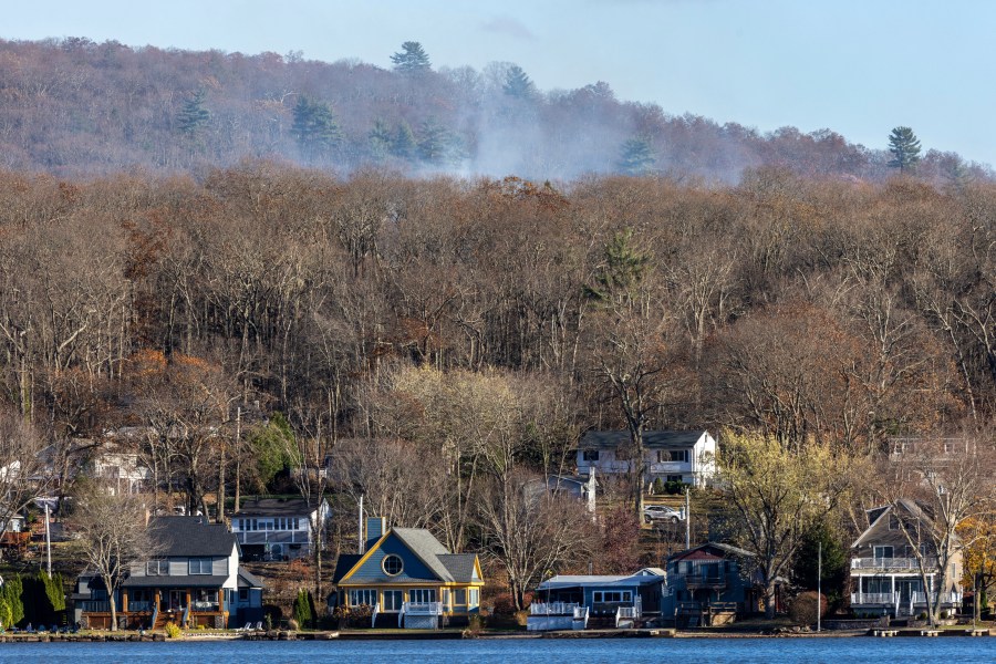   
																Fire crews on both US coasts battle wildfires 
															 