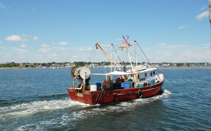   
																New American Fisheries Advisory Committee members to recommend funding priorities 
															 