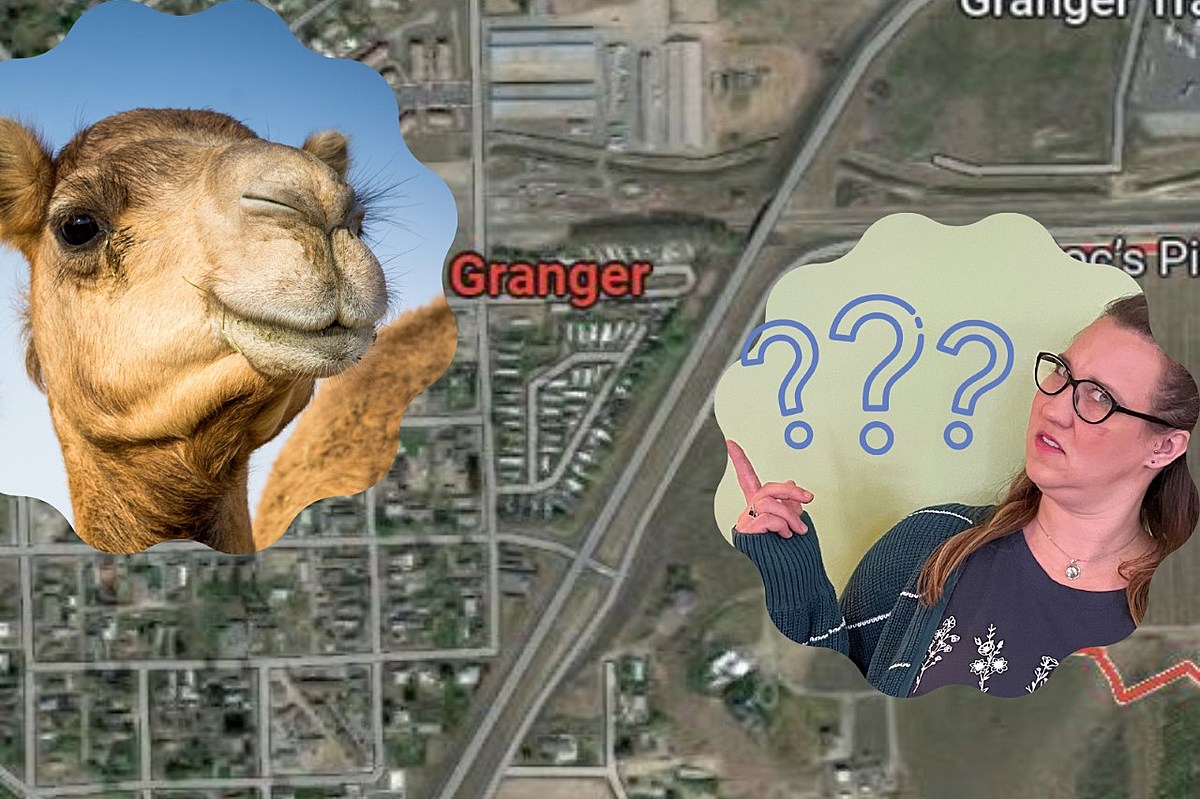  Granger Cherry Fest…Food, Fun and…A Zombie Camel? What The…? 