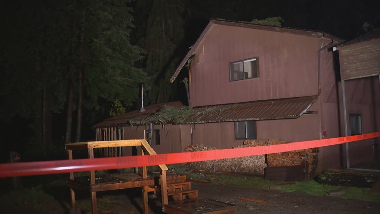  'Biblical rain' washes away hillside under house in Brinnon 