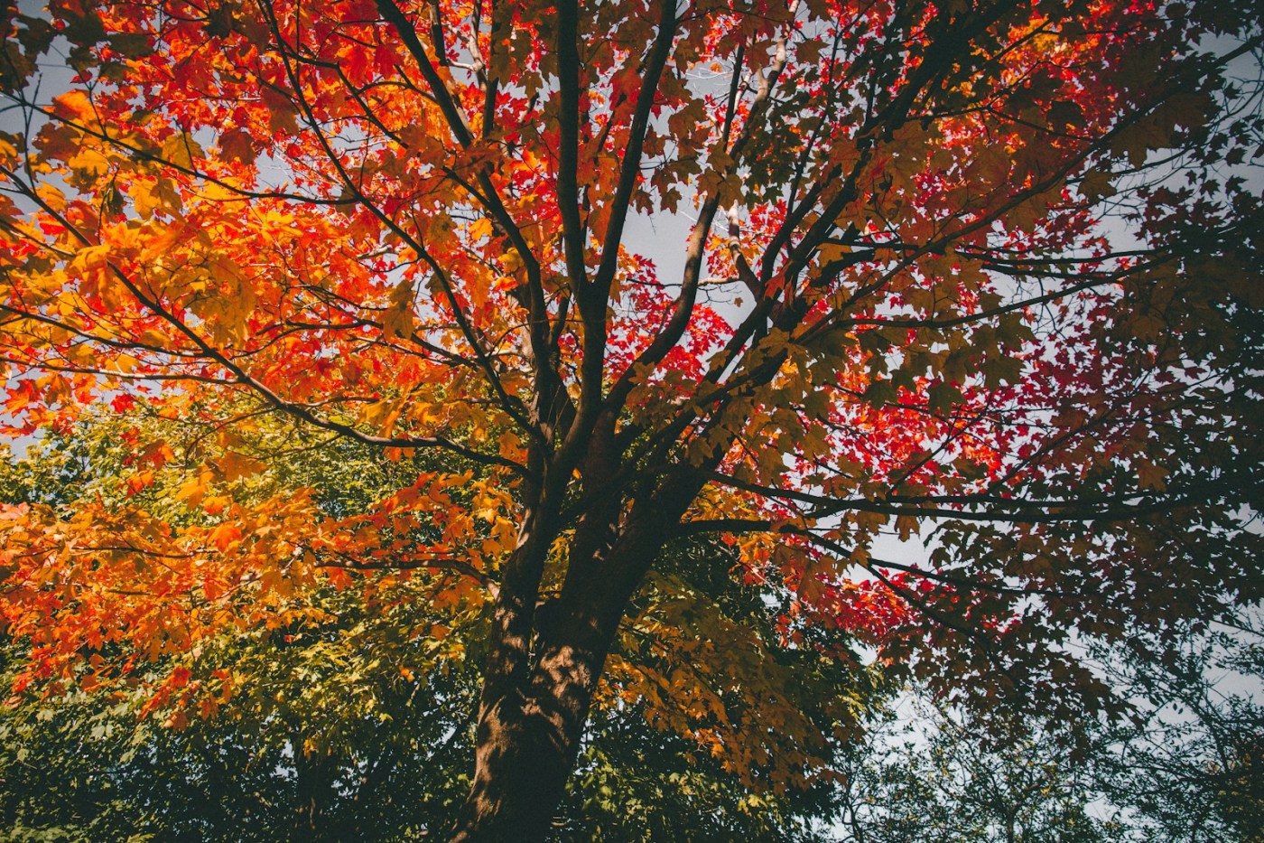  The Best Fall Activities To Do While High 