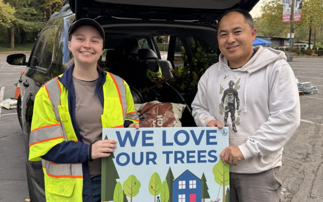  Bellevue gives away 700 trees, increases citywide tree equity 