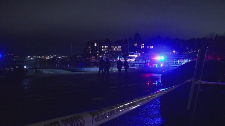  Teen passenger in critical condition after car drives into Lake Washington 