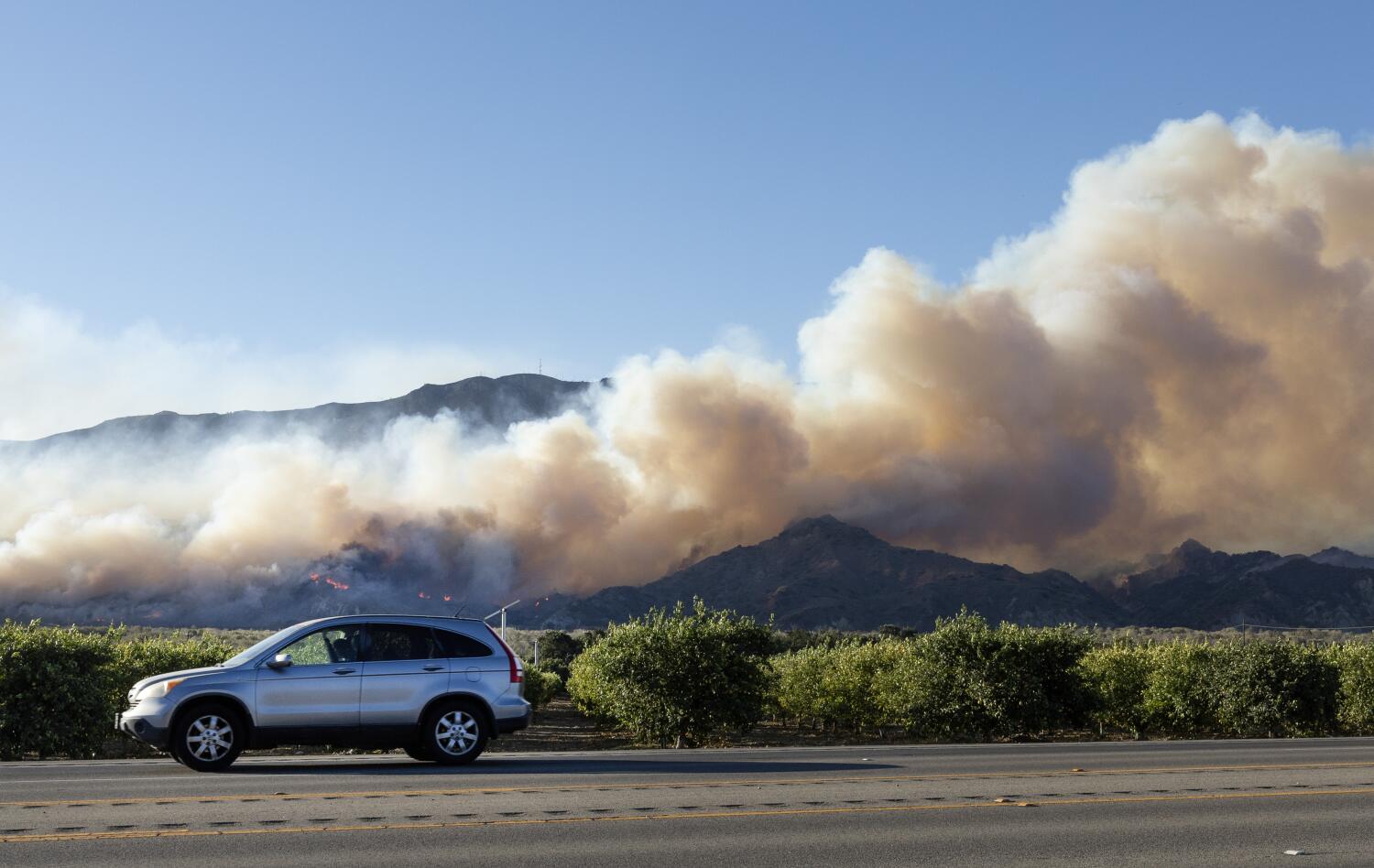  The crops and their paychecks went up in flames: How the Mountain fire hammered farms and farmworkers 