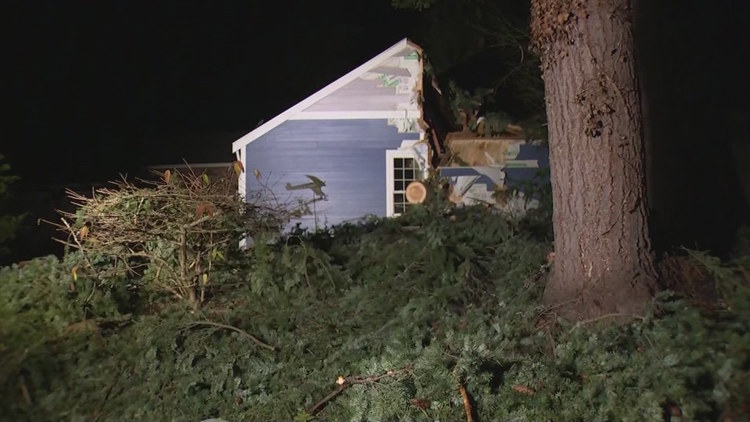  'We'll get through this': Redmond residents work together after bomb cyclone damage 