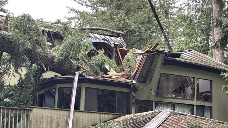  'It would have been bad': Bellevue woman still trapped in home after tree nearly lands on roof 