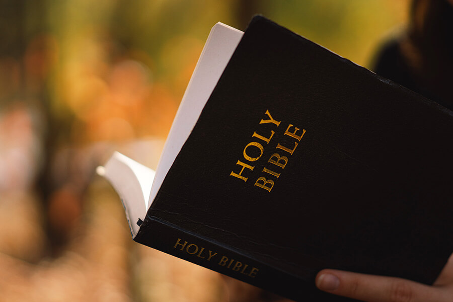  ‘Promote Christian values’: Lobbying group wants Bible read in Idaho public schools 