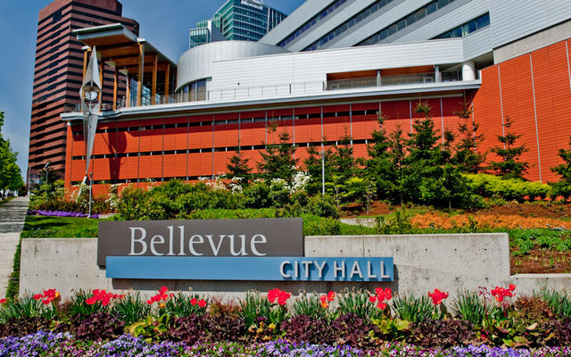   
																Help Bellevue advance racial equity 
															 