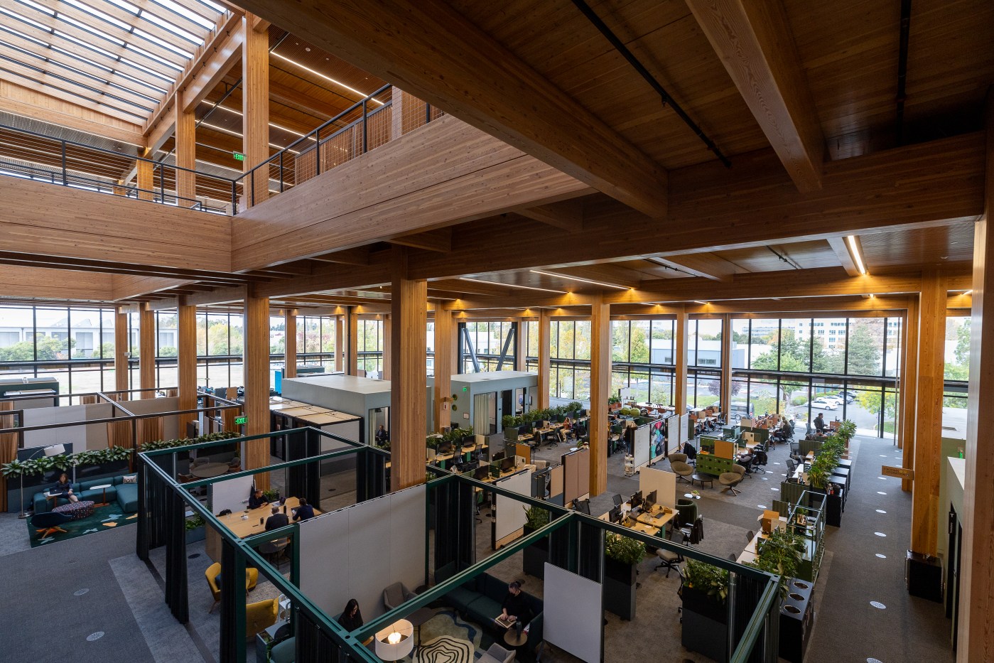  Google unveils unique and eco-friendly mass timber Sunnyvale office 